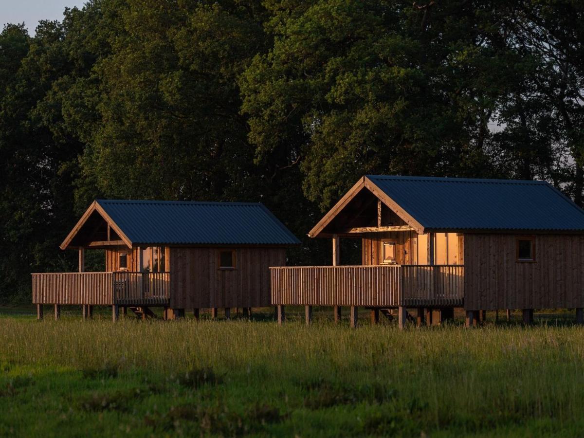 Composite Lodges With Shared Space In Drenthe Ruinerwold Exterior foto