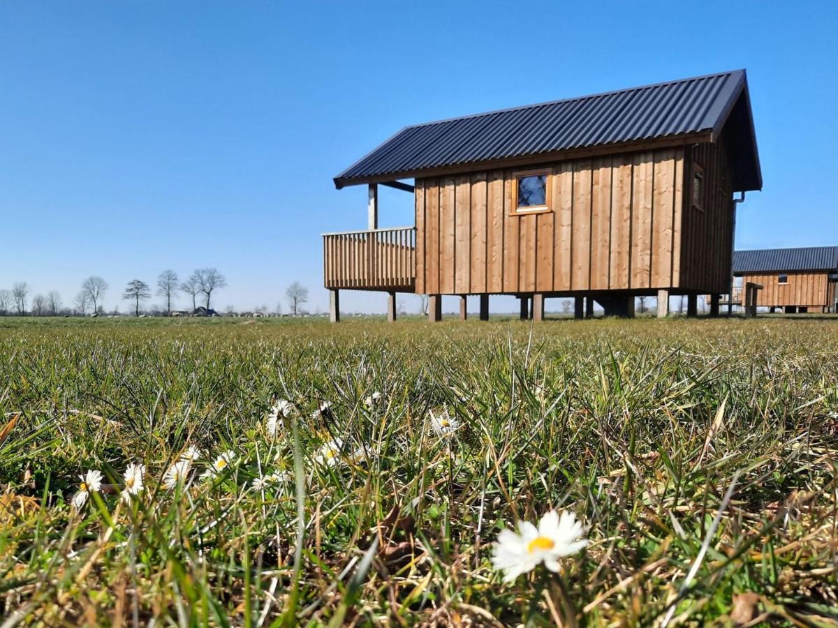 Composite Lodges With Shared Space In Drenthe Ruinerwold Exterior foto